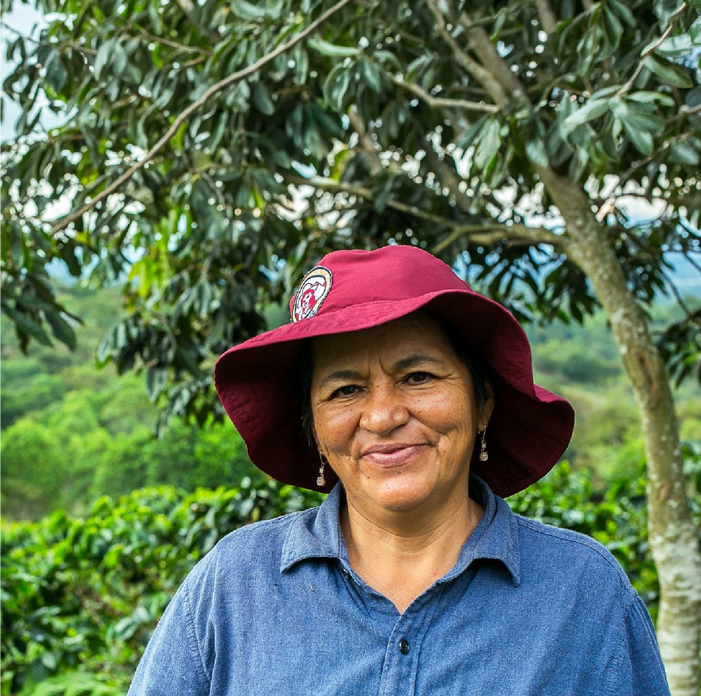 Café Supracafé