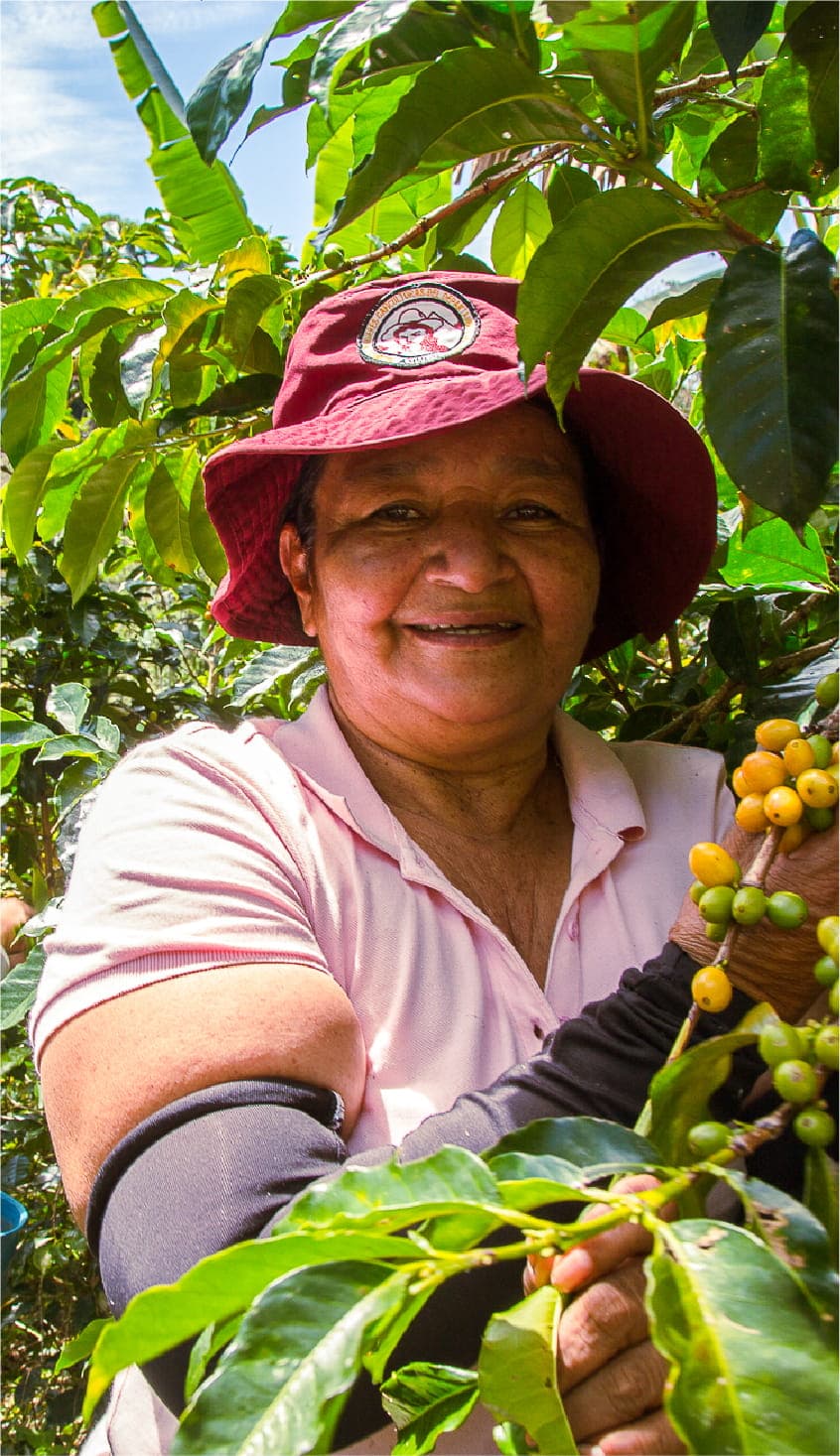 Café Supracafé