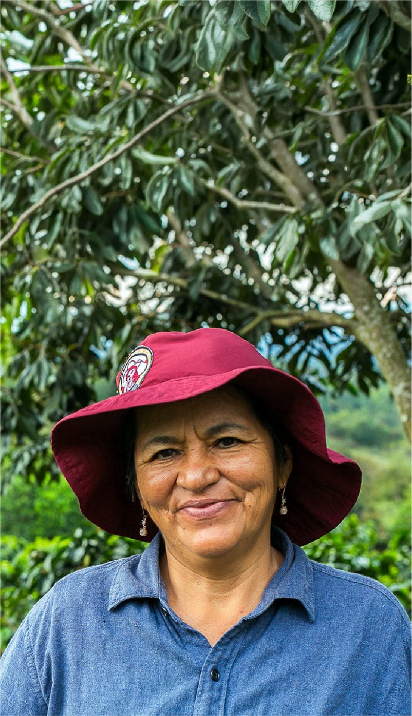 Café Supracafé